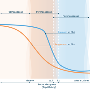 Erst Progesteron, dann Östrogen: Die Hormonkonzentration im Blut sinkt